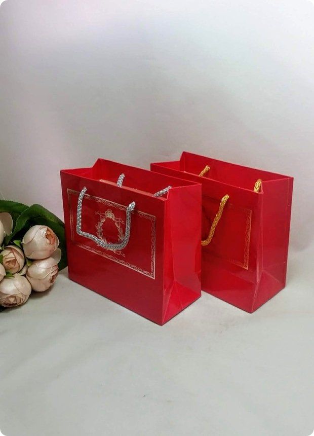 10 Lu (18x16 Cm) Körüklü,Baskılı, İpli,  Karton Çanta, Poşet
