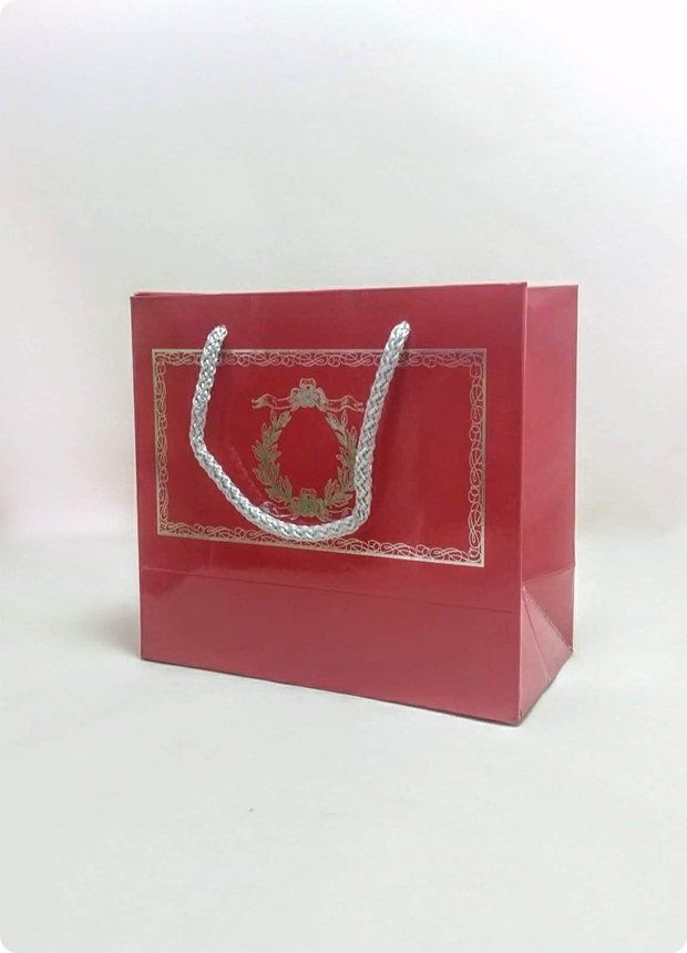 10 Lu (18x16 Cm) Körüklü,Baskılı, İpli,  Karton Çanta, Poşet