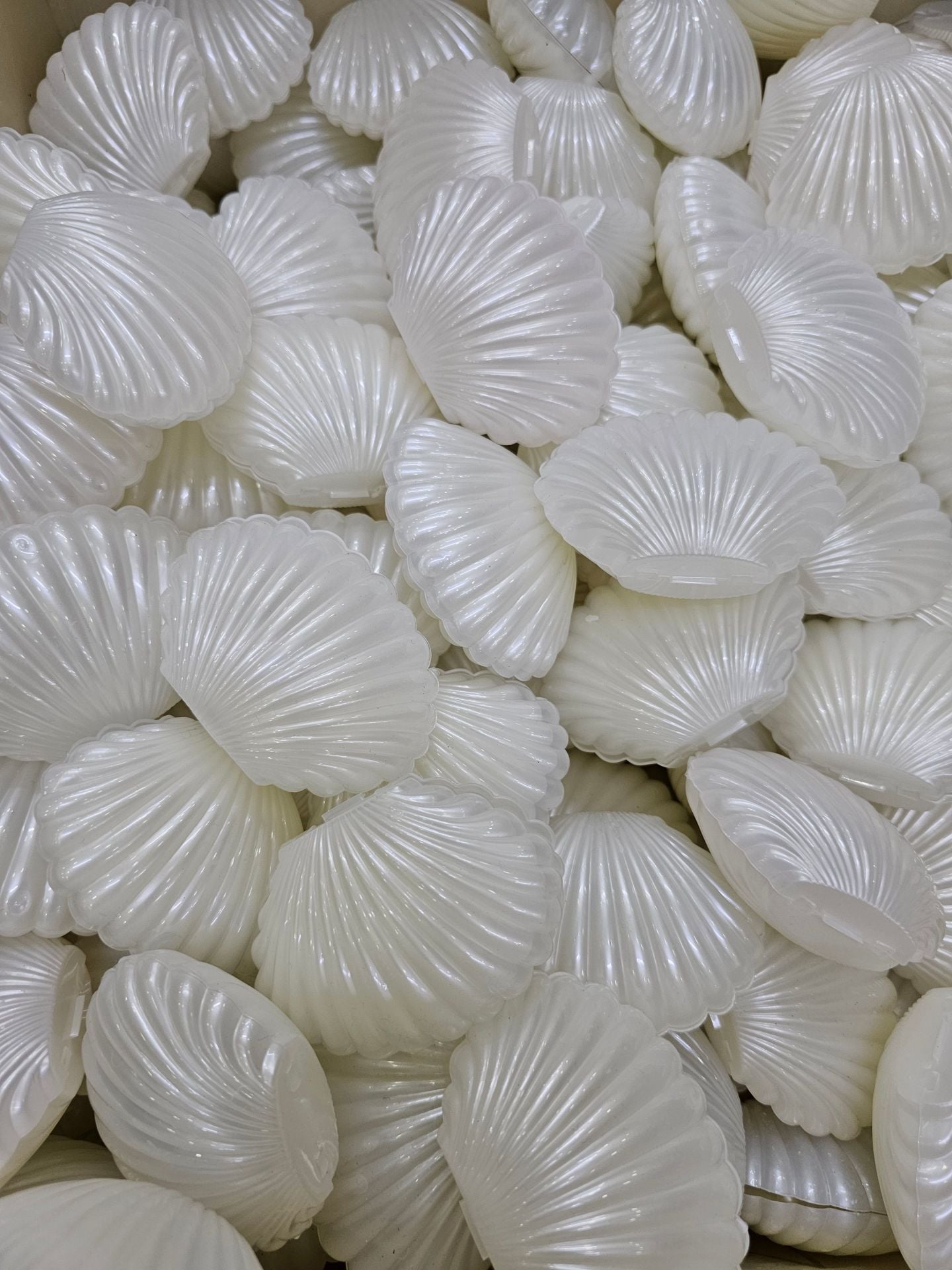 25 Lİ İSTİRİDYE KUTU İNCİ PLASTİK SEDEF