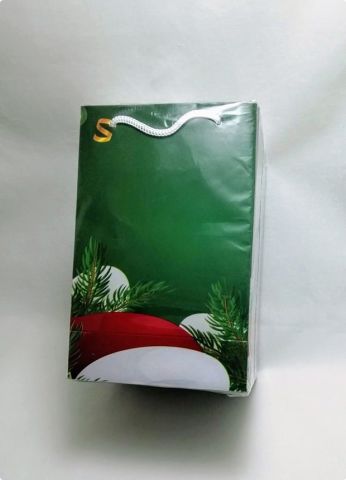 25 Li Yeşil Yılbaşı Hediyelik Karton Çanta 11x17 Cm Poşet