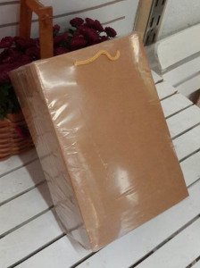 25'Li Toprak Kraft Rengi Körüklü Karton Çanta 17x26 Cm