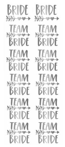 DÖVME TEAM BRIDE OKLU KALPLİ VARAKLI GÜMÜŞ PK:12